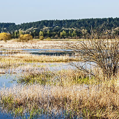 2019 April Advocacy FEMA Funding for Building Nature Based Resilient Communities 410