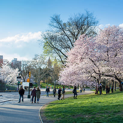 2019 December NRPA Update NRPA Awards Grant to Support Equitable Access to Parks 410