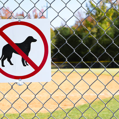 2019 September NRPA Update Hot Topics Dogs on Fields 410