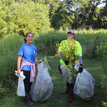 2020 December Feature Supporting Biodiversity Pollinators and Sustainable Habitat 410