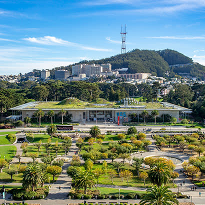 2020 May Park Bench Golden Gate Park 410