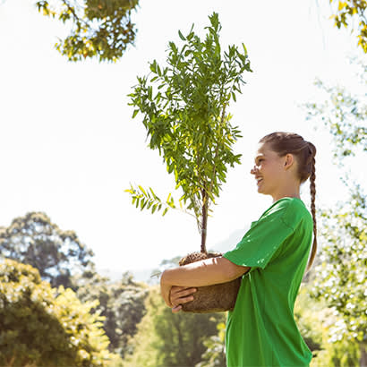 2020 November Law Review Citizen Activism Can Preserve LWCF Funded Park Resources 410