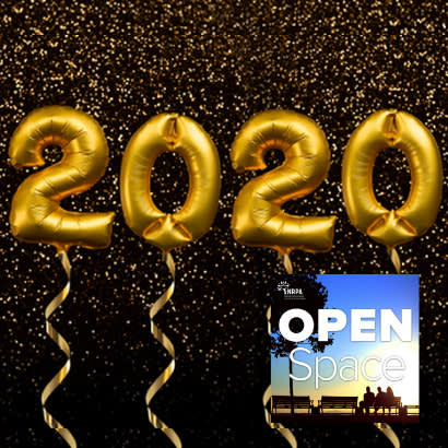 2020 Resolutions Podcast 410