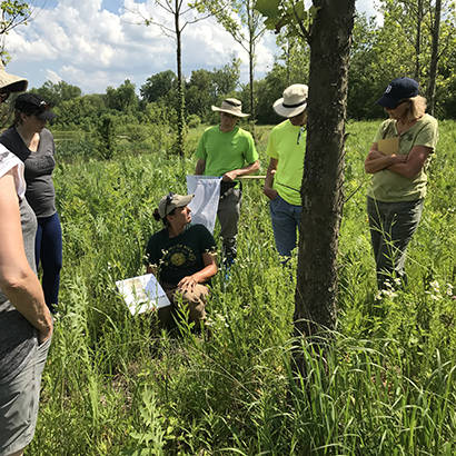 August 2019 Conservation Parks for Pollinators Inaugural Bioblitz 410