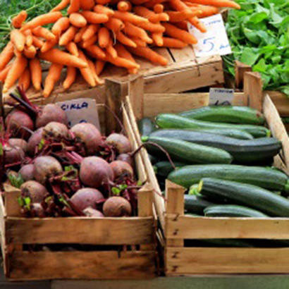 Initiatives Fit 2gether to Promote Healthy Eating and Economic Development 410 Initiatives Fit 2gether to Promote Healthy Eating and Economic Development 410
