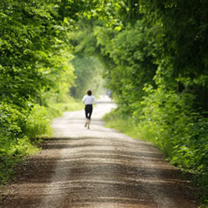 New Pavilion a Respite for Trail Users 410