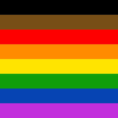 Pride Flag 410