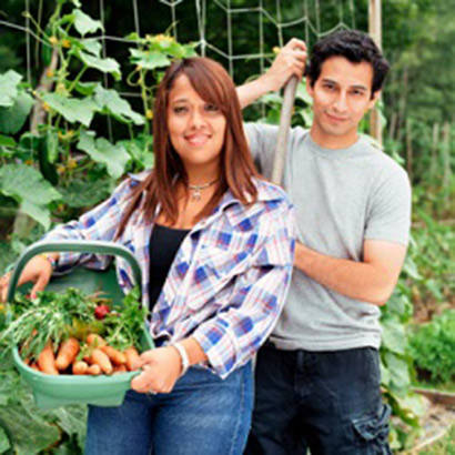 Recreating a Food Growing Tradition in an Urban Park 410