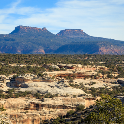 blog bears ears 410