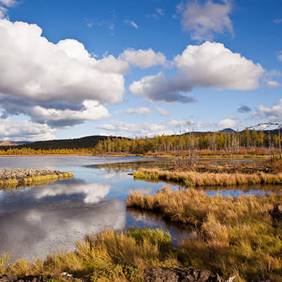 Meet the Marsh: Definition & Types - State Parks Blogs