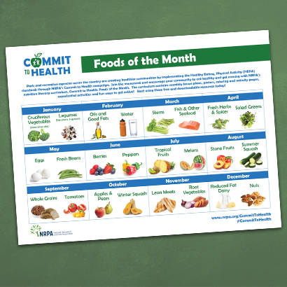 A Guide to Implementing Nutrition and Food Security Surveys