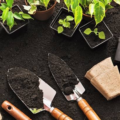 18 Gardening Methods to Choose From to Maximize Your Space