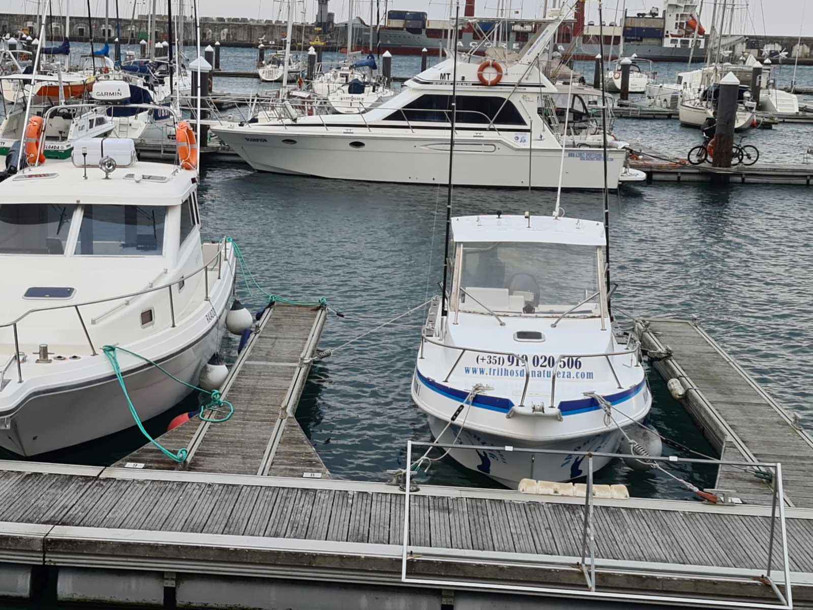 Mare Nostrum Tecninautica Marlin 22 moored at Ponta Delgada