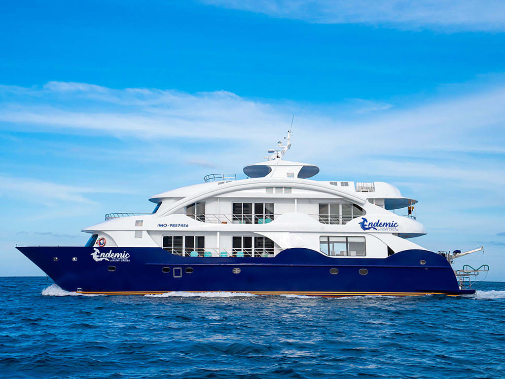Endemic - Cabin 4 Power Catamaran vor Anker in Baltra
