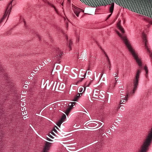 Camiseta personalizada de graduación de primaria