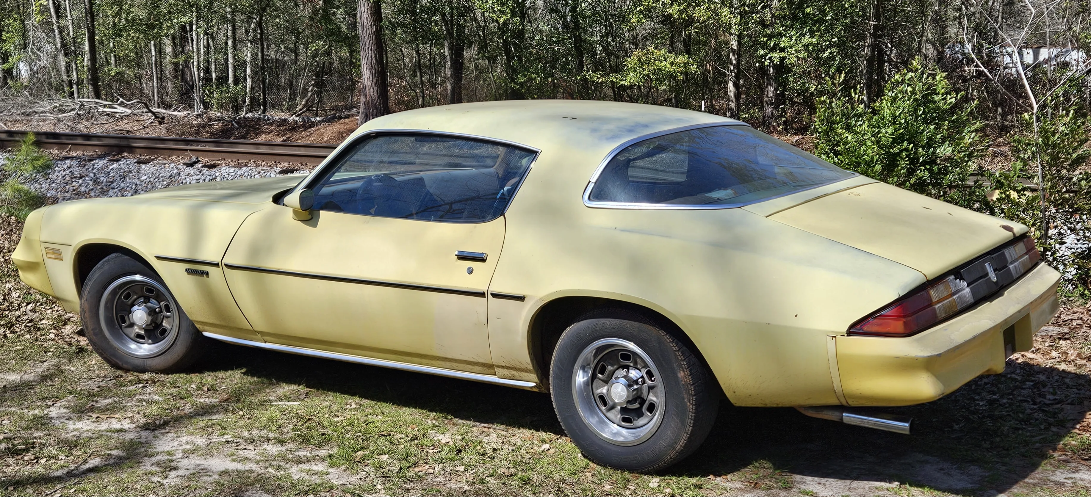 1979 Chevrolet Camaro