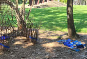 gardens6