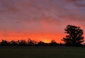2026-09-lightning-ridge---115-large.jpeg
