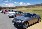 Lined up at Wildbrumby