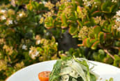 mossy01