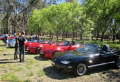 Mazdas in the Park