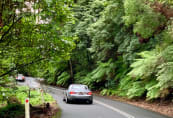 Kangaroo Valley Run