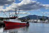 Bermagui marina