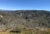 Monkey Creek 0826