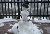 The snowman