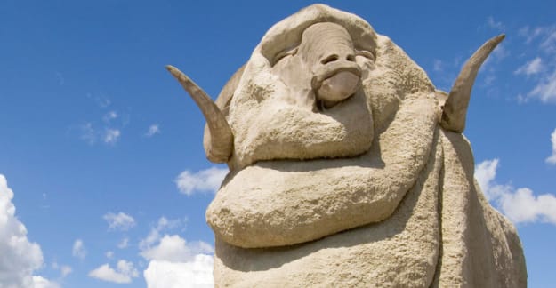 The Big Merino