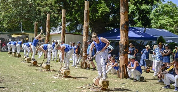 woodchopping