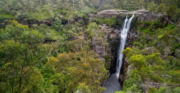 Carrington Falls