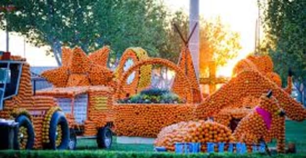Citrus sculptures