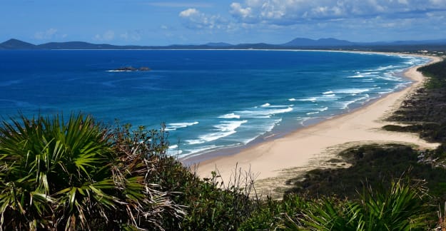 Bluey's Beach Picnic via 'Wootton Way'