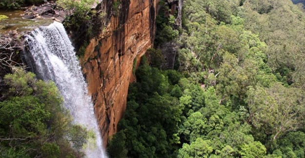 Picnic at Fitzroy Falls