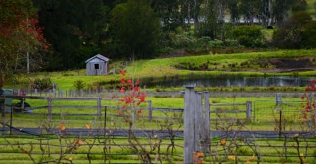 Come Join us on a Sunday drive to Gloucester River Wines.