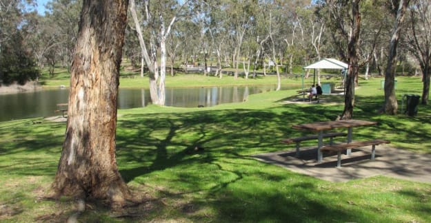 Picnic ground @ Lambing Flat