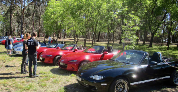 Mazdas in the Park