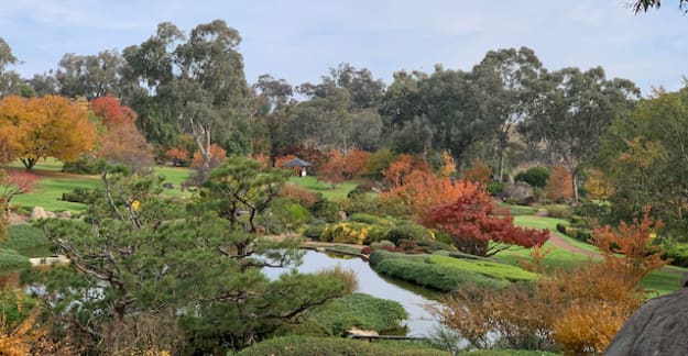 Japanese Gardens @ Cowra