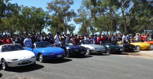 Lineup of NA MX5 cars at Bathurst