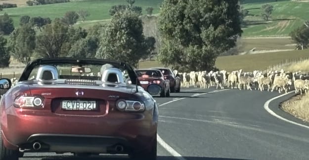 mx5-mystery-run-09jun26-7.jpeg