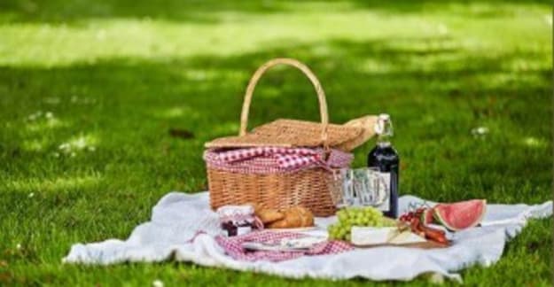 Picnic