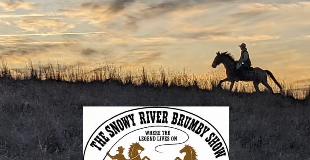 Silver Brumby Show