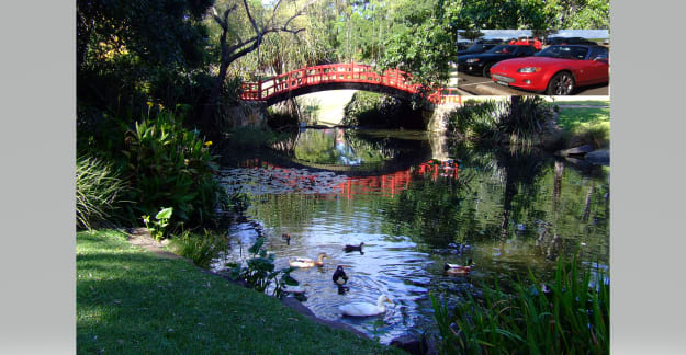 The Gong Botanic garden