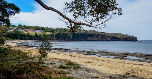 Ulladulla park