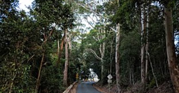 Berry Mountain Adventure MX5 Club of NSW