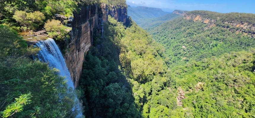 Fitzroy falls