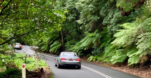 Kangaroo Valley Run