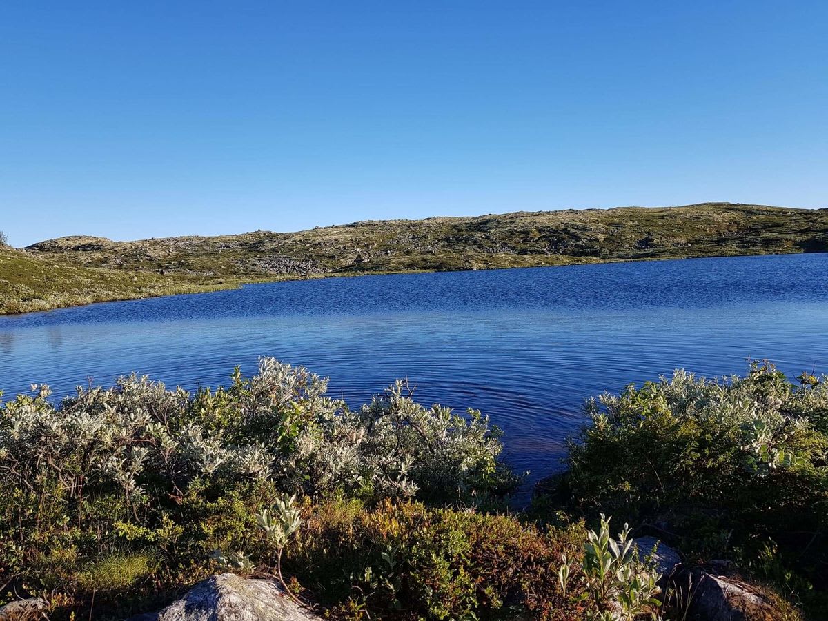 Tur Til Liatjonne Pa Lalm Vaga