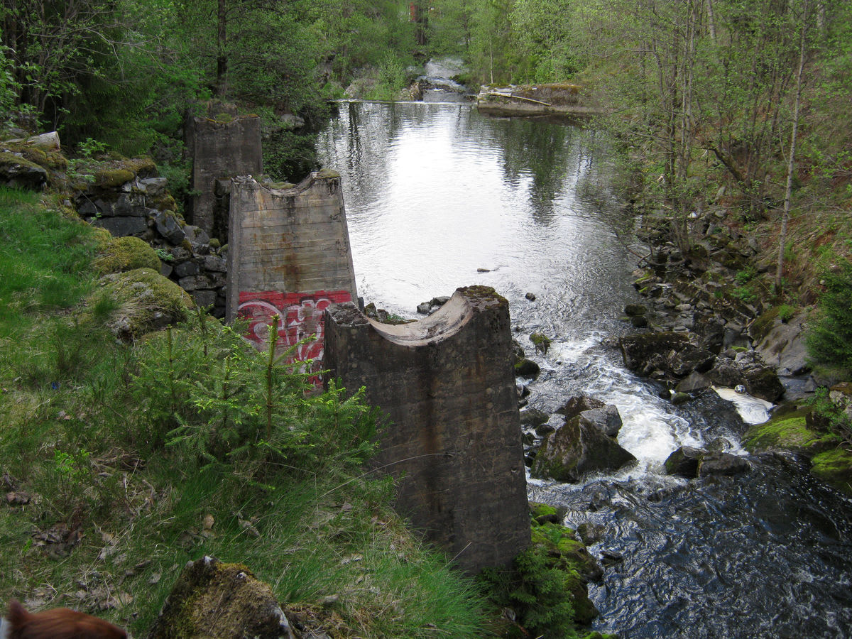 Svartskog Pa Langs